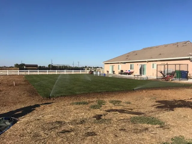 Trusted garden landscaping for year-round maintenance in Galt, CA by J&T Landscaping