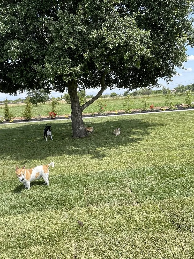 Professional landscape design for year-round maintenance across Galt, CA - J&T Landscaping