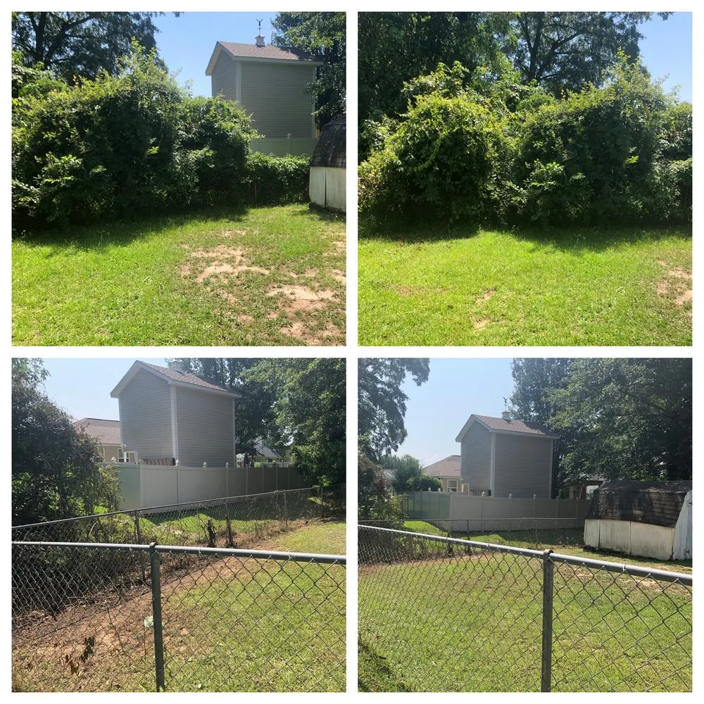 Local landscape design experts serving Kathleen, GA - JT Landscaping