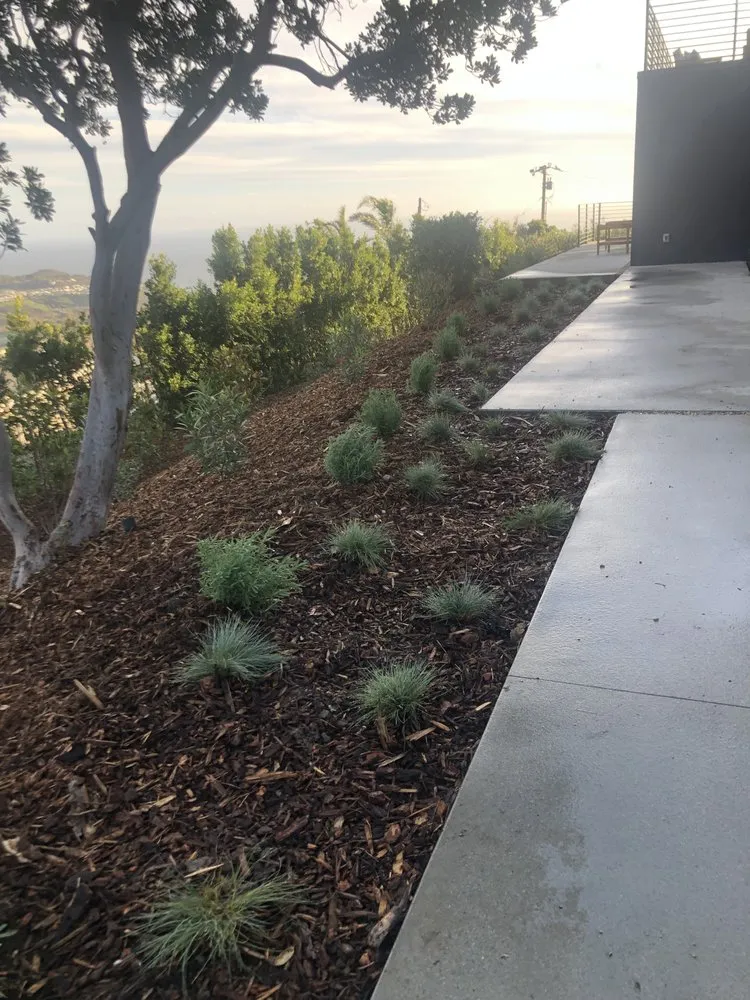 Trusted lawn care service experts serving Los Angeles, CA - JT Landscaping