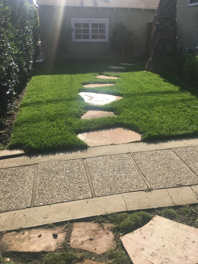 Professional yard maintenance experts serving Los Angeles, CA - JT Landscaping