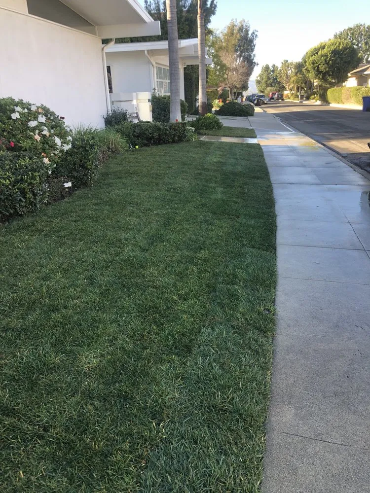 Expert landscape design experts serving Los Angeles, CA - JT Landscaping