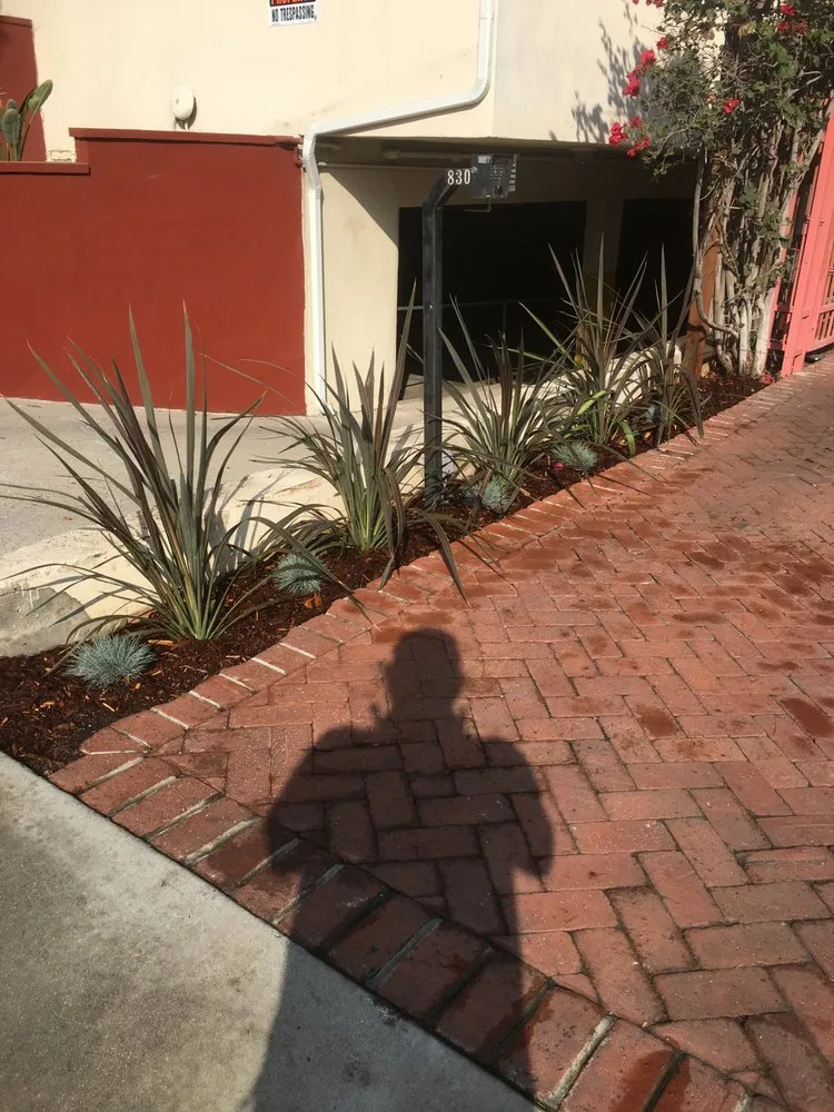 Local yard maintenance experts serving Los Angeles, CA - JT Landscaping