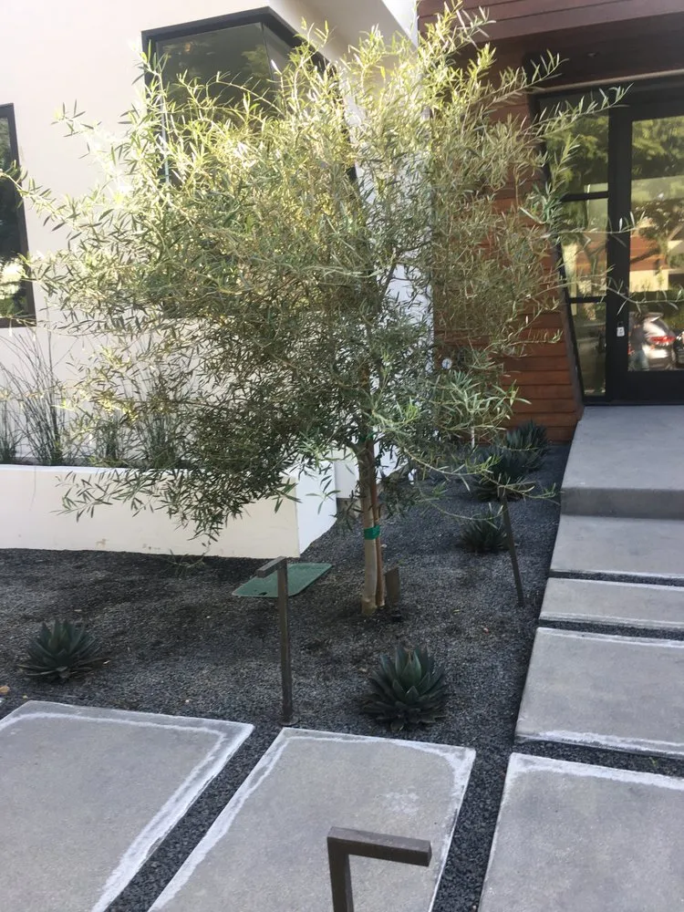Reliable garden landscaping experts serving Los Angeles, CA - JT Landscaping