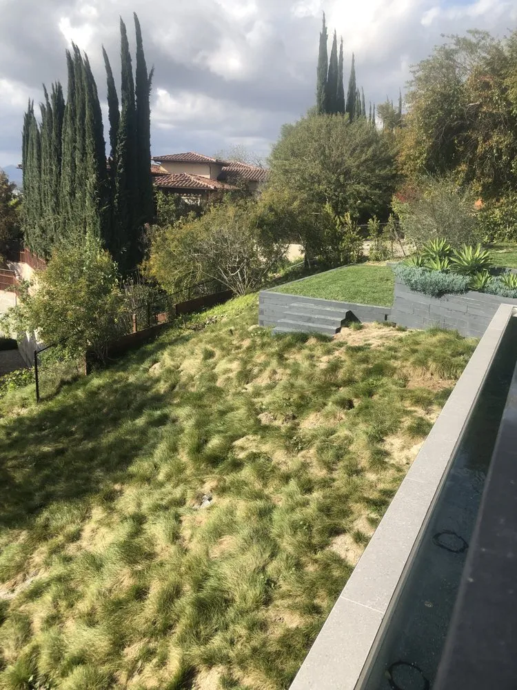 Local landscaping services in Los Angeles, CA by JT Landscaping