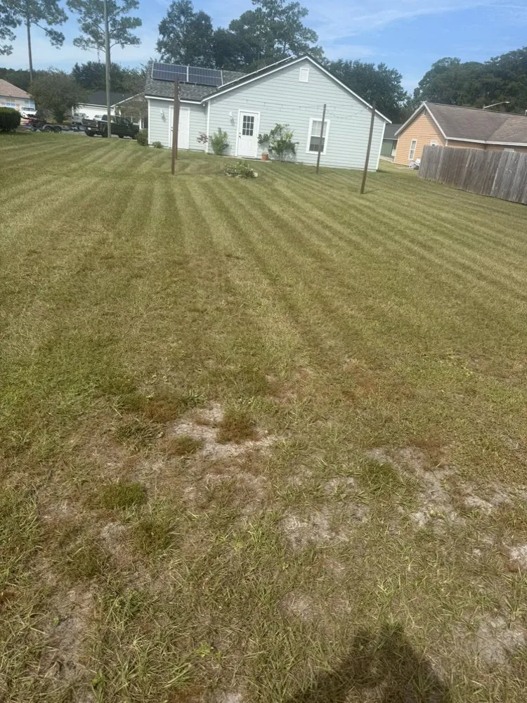 Reliable landscape design in Ocala, FL by JT Landscaping