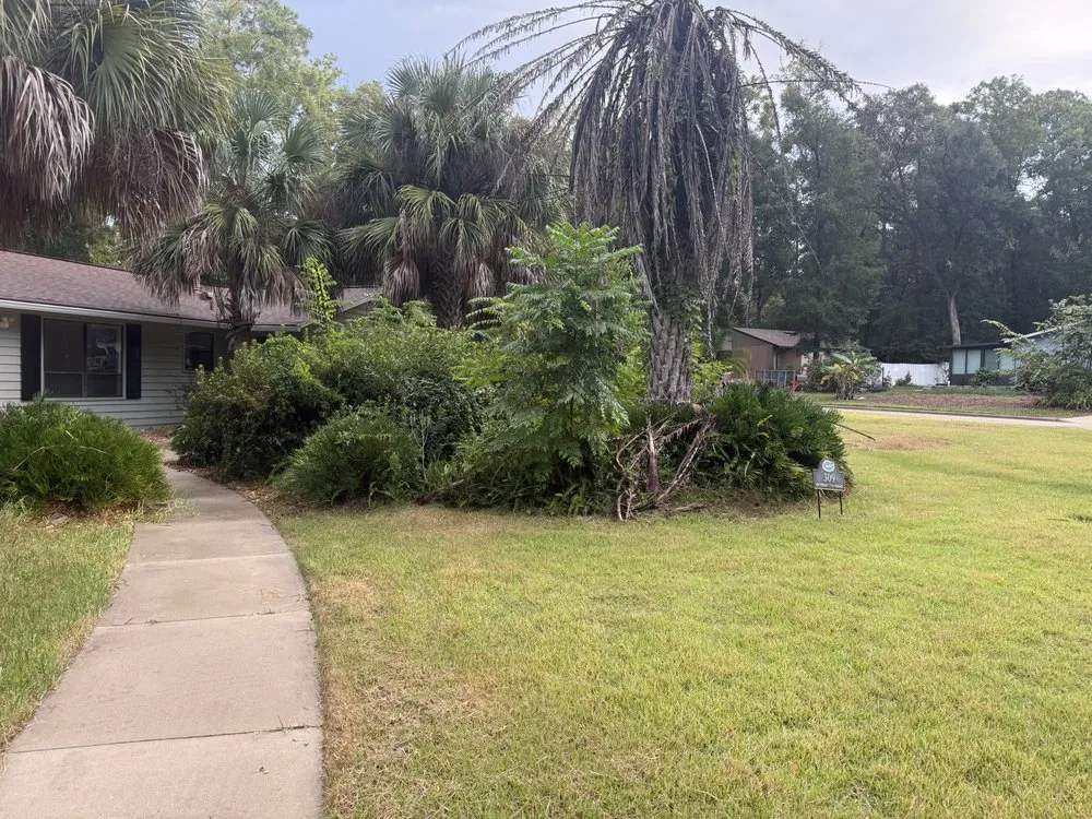 Expert yard cleanup service in Ocala, FL - JT Landscaping