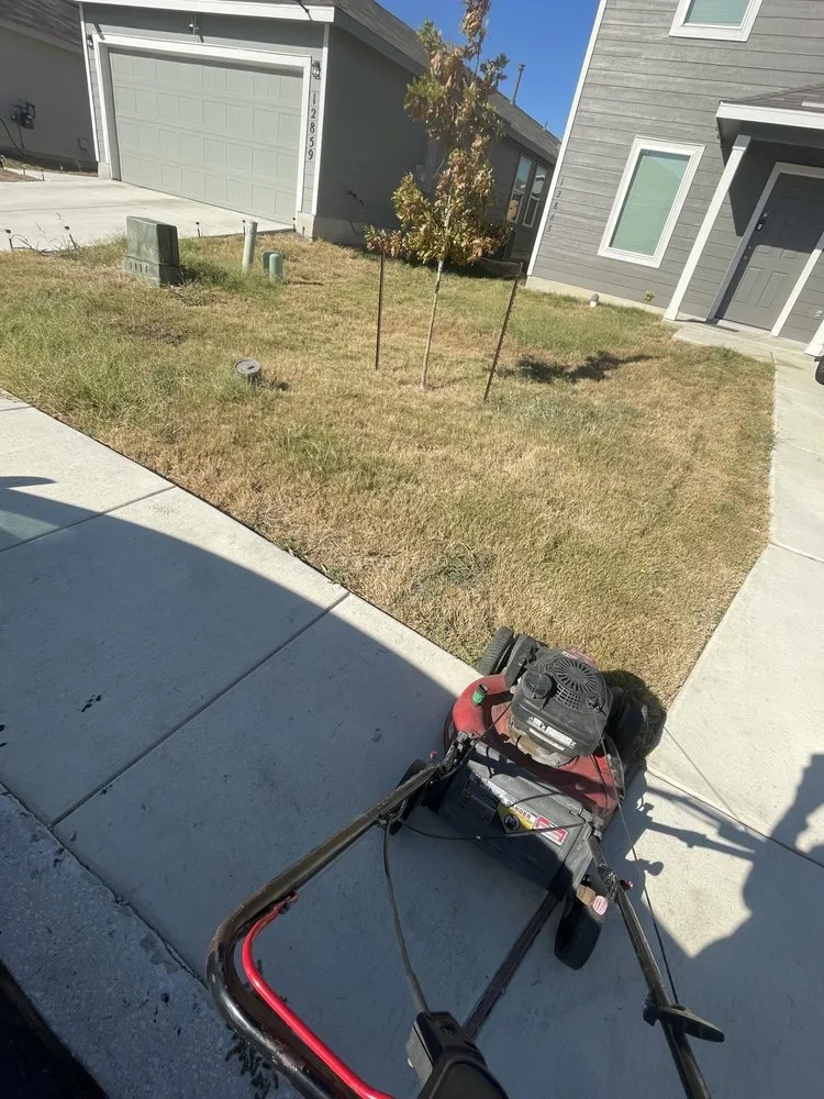 Top-rated garden landscaping for year-round maintenance in San Antonio, TX by JT Landscaping