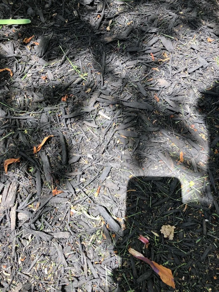 Professional lawn mowing service in Laurel, MD by JT Lawn Care