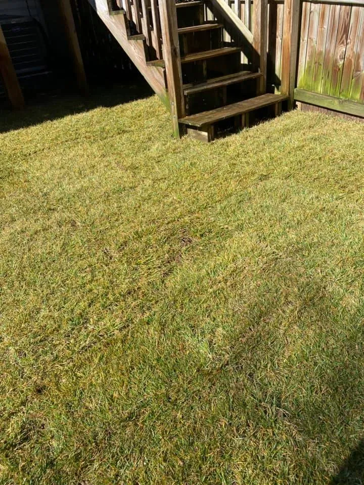 Affordable lawn mowing service for outdoor upgrades across Laurel, MD - JT Lawn Care