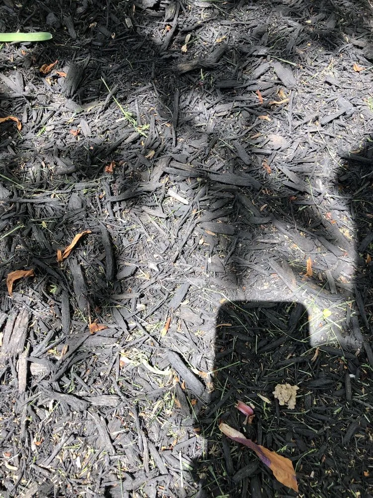 Affordable landscape installation for outdoor upgrades in Laurel, MD by JT Lawn Care