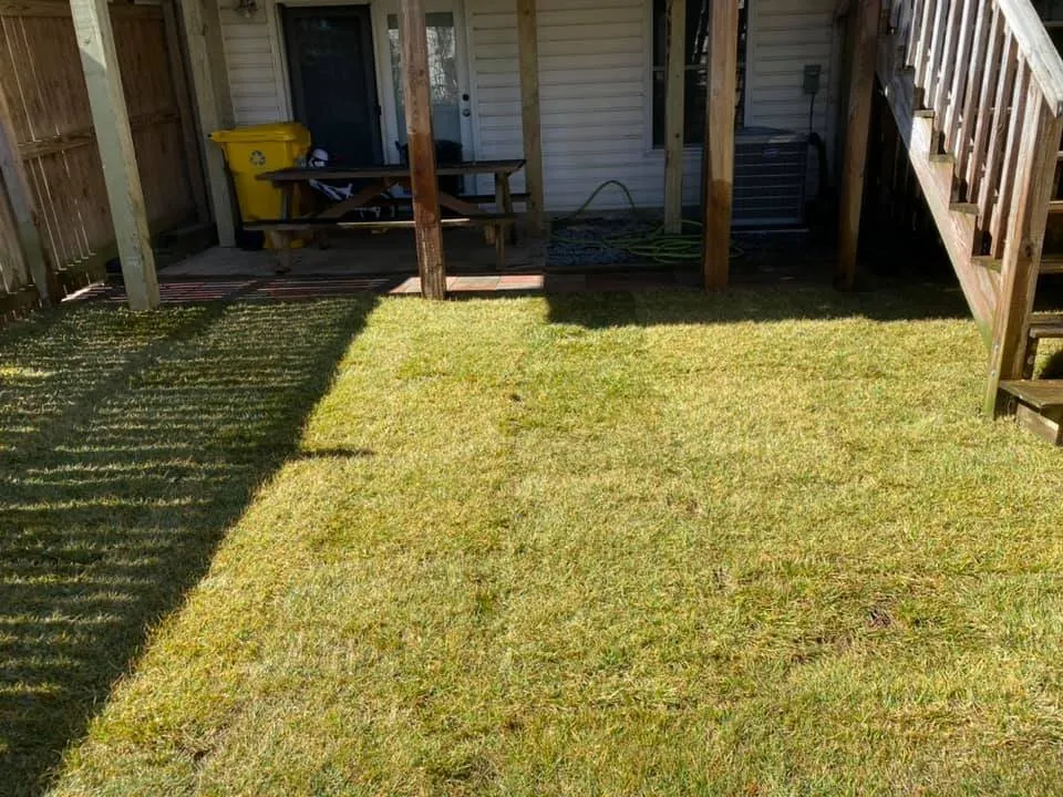 Top-rated landscape installation in Laurel, MD by JT Lawn Care