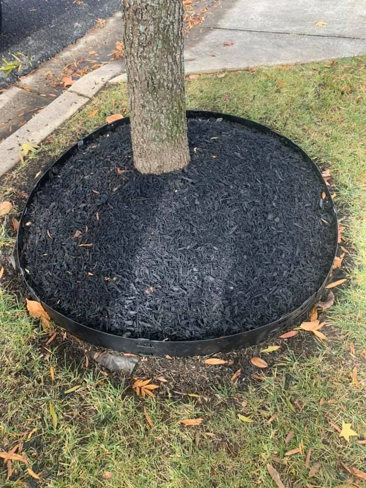 Custom yard maintenance in Laurel, MD by JT Lawn Care