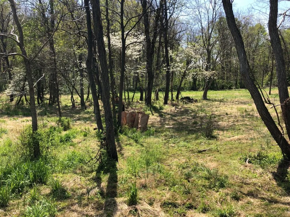 Reliable lawn mowing service for outdoor upgrades across Laurel, MD - JT Lawn Care