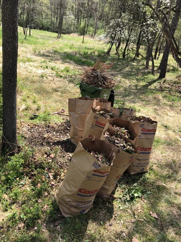 Trusted landscape design in Laurel, MD - JT Lawn Care