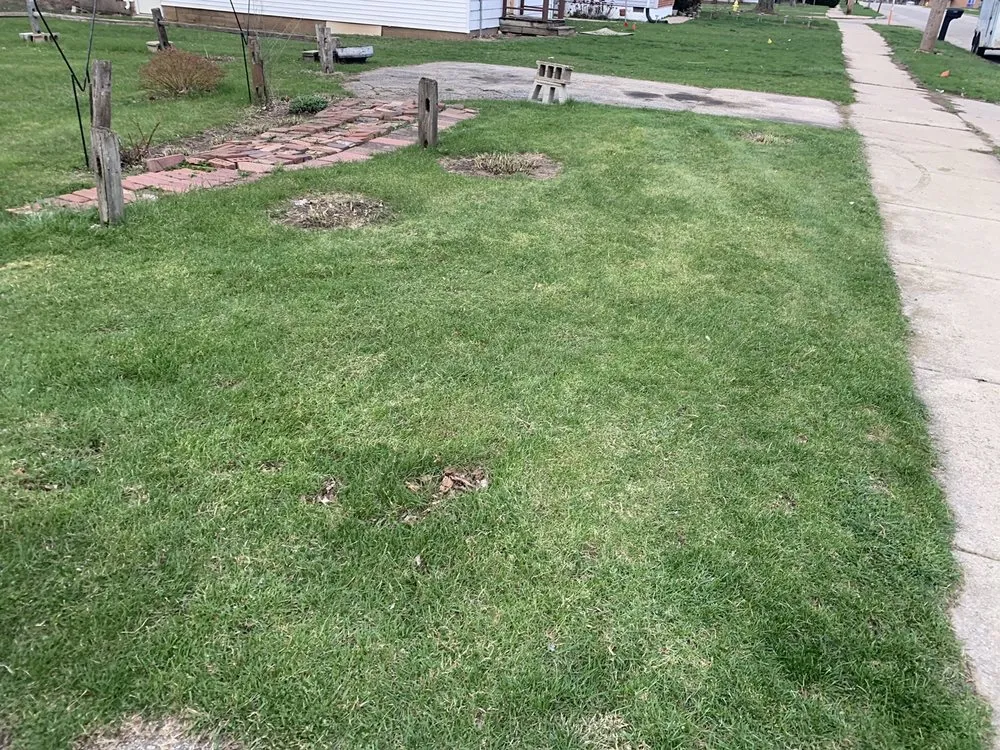 Local lawn mowing service in Rockford, IL by J&T Lawn Care