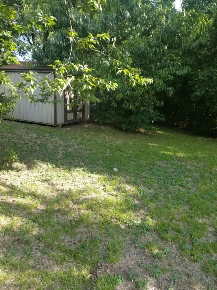 Top-rated lawn mowing service in Duncanville, TX by JT Lawn Service