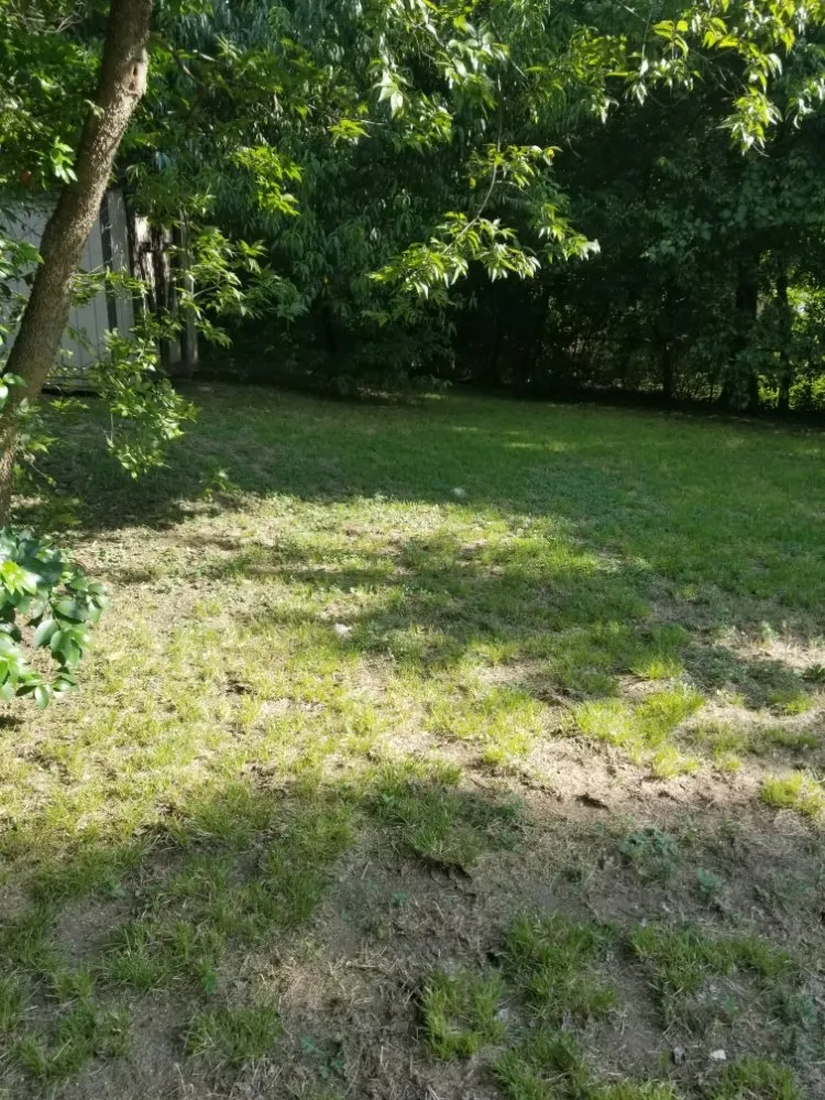 Top-rated landscape design for homes across Duncanville, TX - JT Lawn Service