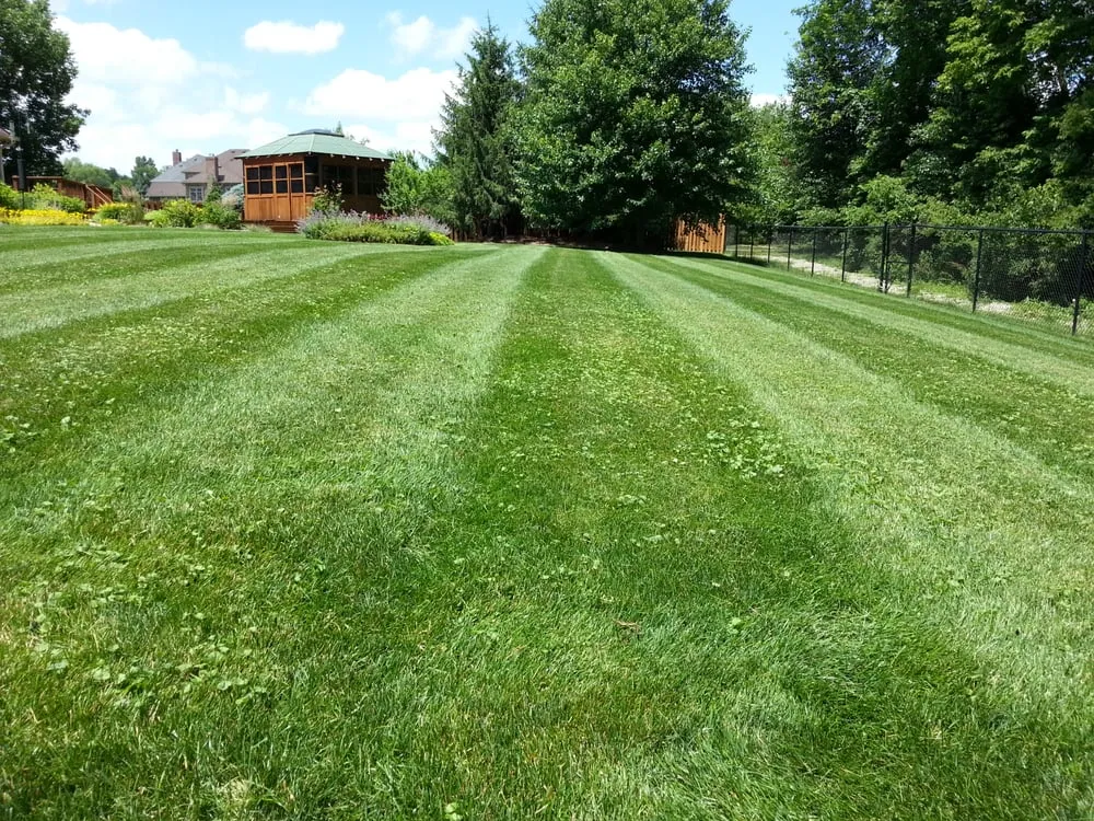 Top-rated yard cleanup service for residential properties across Indianapolis, IN - JT LAWNCARE