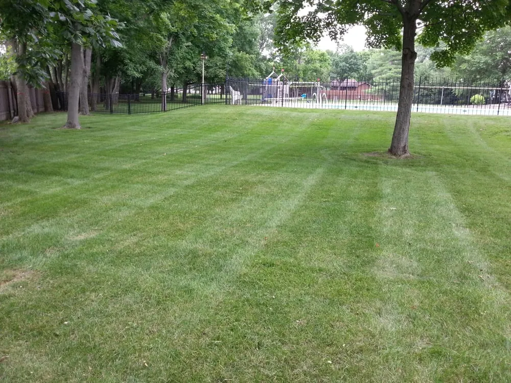 Reliable landscaping services experts serving Indianapolis, IN - JT LAWNCARE