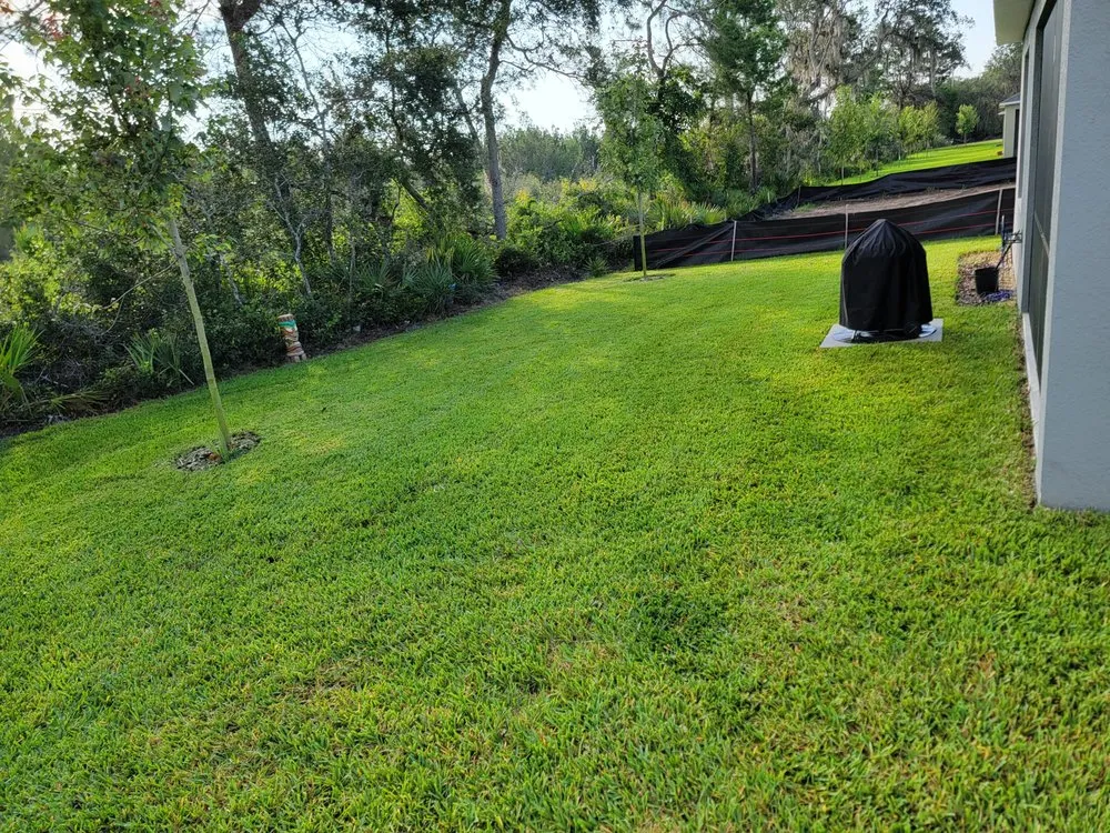 Trusted landscape design in Daytona Beach, FL - JT Lawns