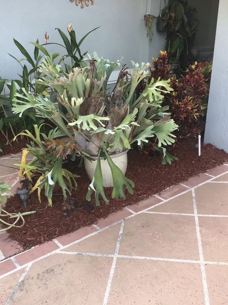 Custom garden landscaping in Lake Worth, FL by JT Mulch & Weed