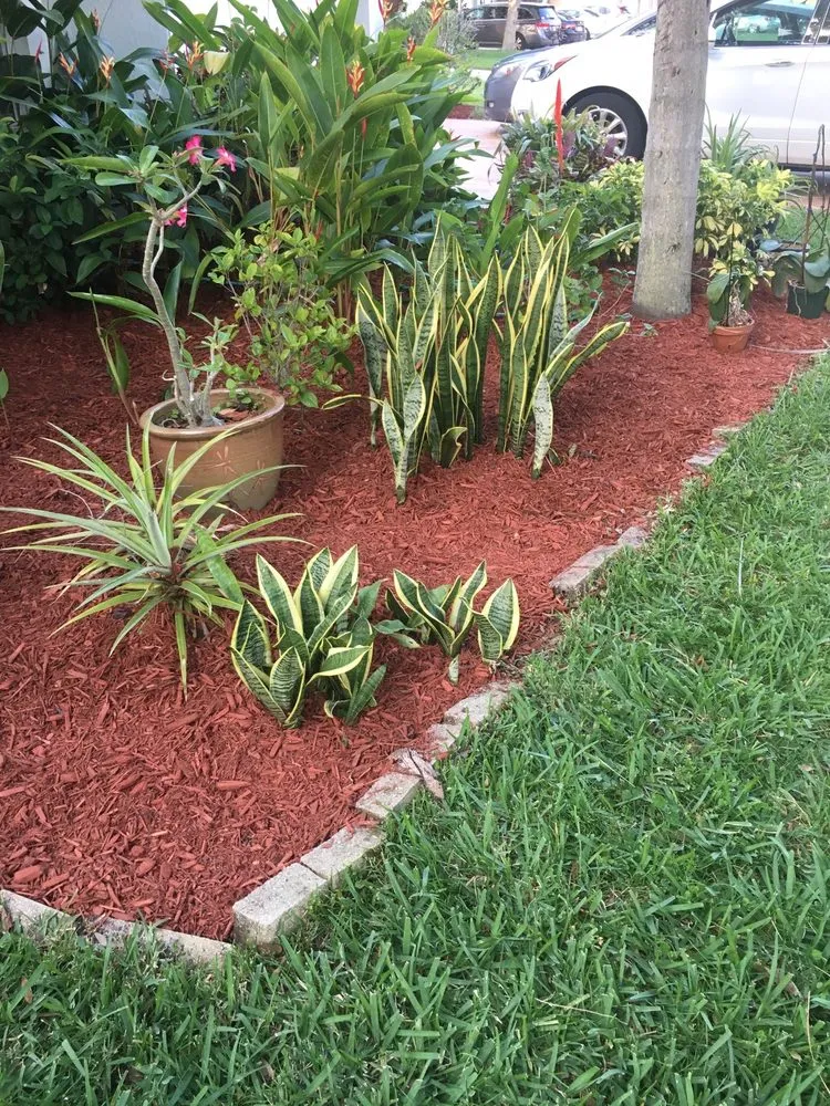 Top-rated residential landscaping in Lake Worth, FL - JT Mulch & Weed