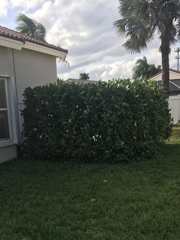 Trusted landscaping services with custom design across Lake Worth, FL - JT Mulch & Weed