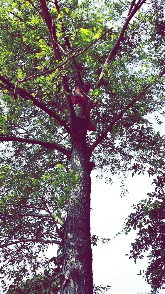 Professional garden landscaping experts serving Sheridan, IN - J&T Outdoor Experts