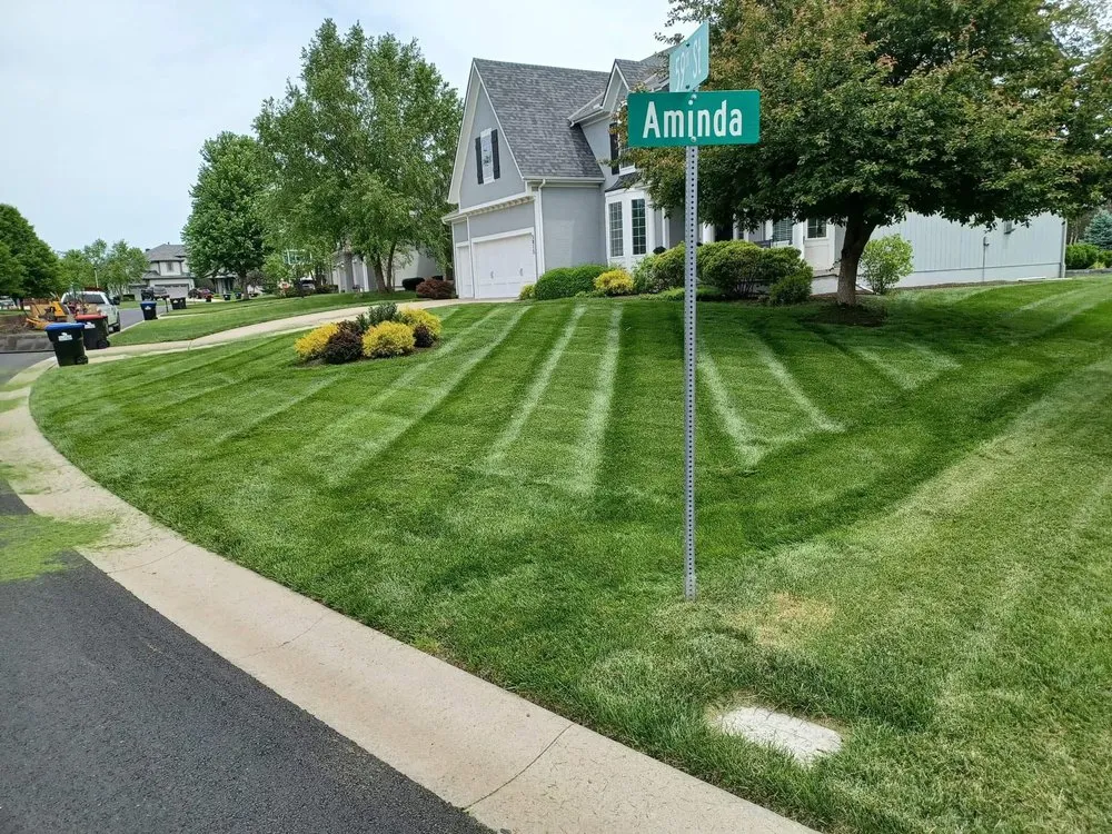 Professional yard cleanup service experts serving Kansas City, KS - JT Quality Lawn