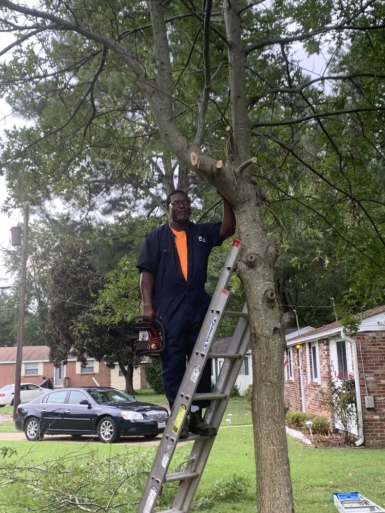 Trusted yard cleanup service for outdoor upgrades across Hampton, VA - JT Thomas Handyman Service