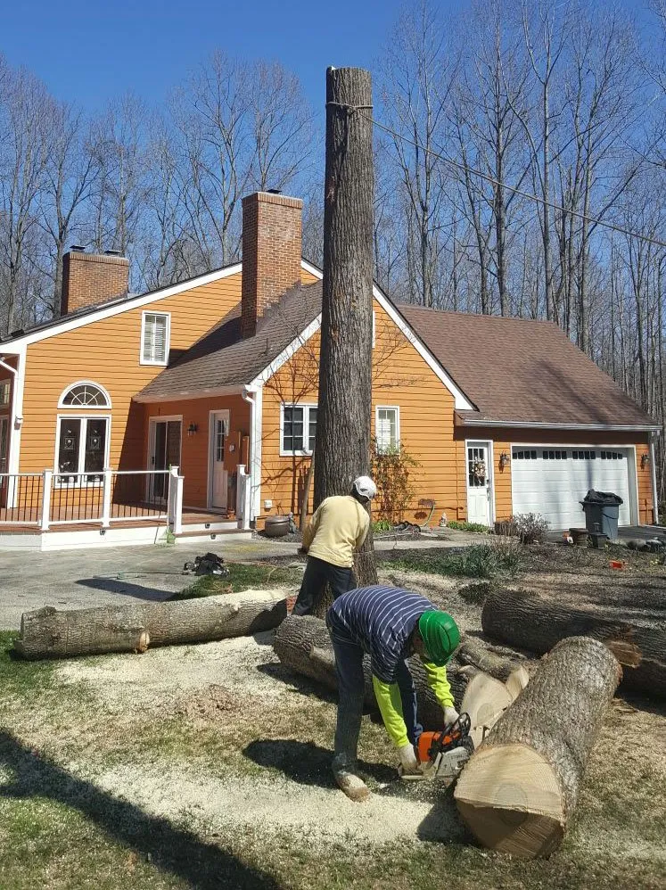 Professional landscape design experts serving Manassas, VA - JT Tree & Landscaping