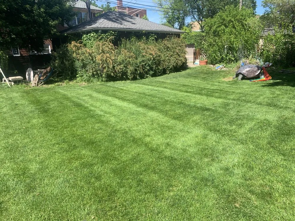 Reliable outdoor landscaping experts serving Evanston, IL - J.T.A landscaping