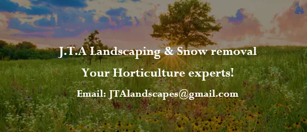 Affordable landscaping services in Evanston, IL - J.T.A landscaping