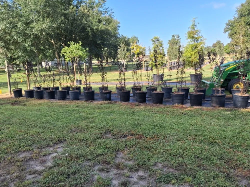 Local landscaping services for year-round maintenance in Port Charlotte, FL by JTB Yard Services