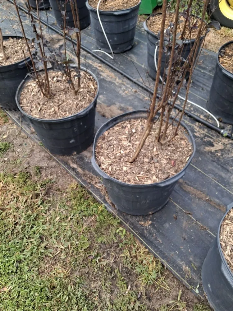 Local landscape installation for outdoor upgrades in Port Charlotte, FL by JTB Yard Services