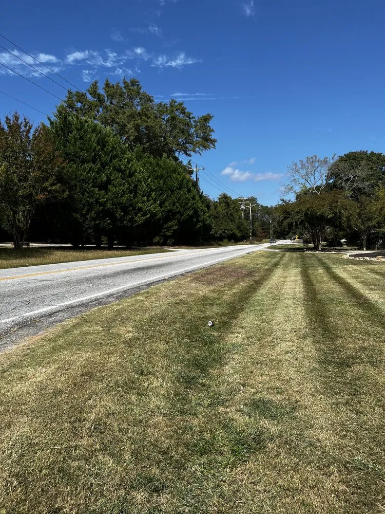 Custom yard cleanup service for residential properties across Greenville, SC - J.T.C. Lawn care