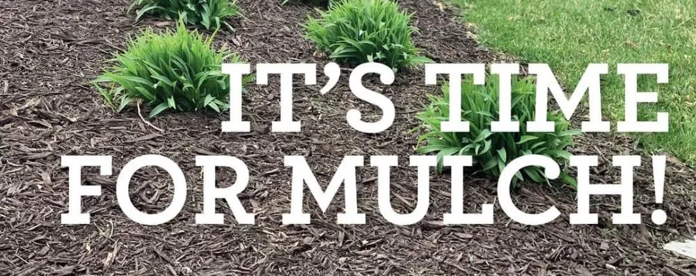 Reliable yard cleanup service experts serving Little Falls, MN - JTC Property Maintenance