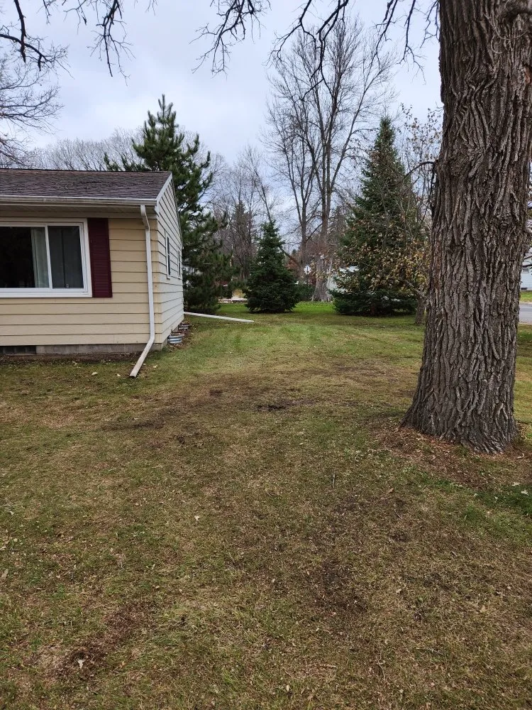 Trusted yard cleanup service in Little Falls, MN by JTC Property Maintenance