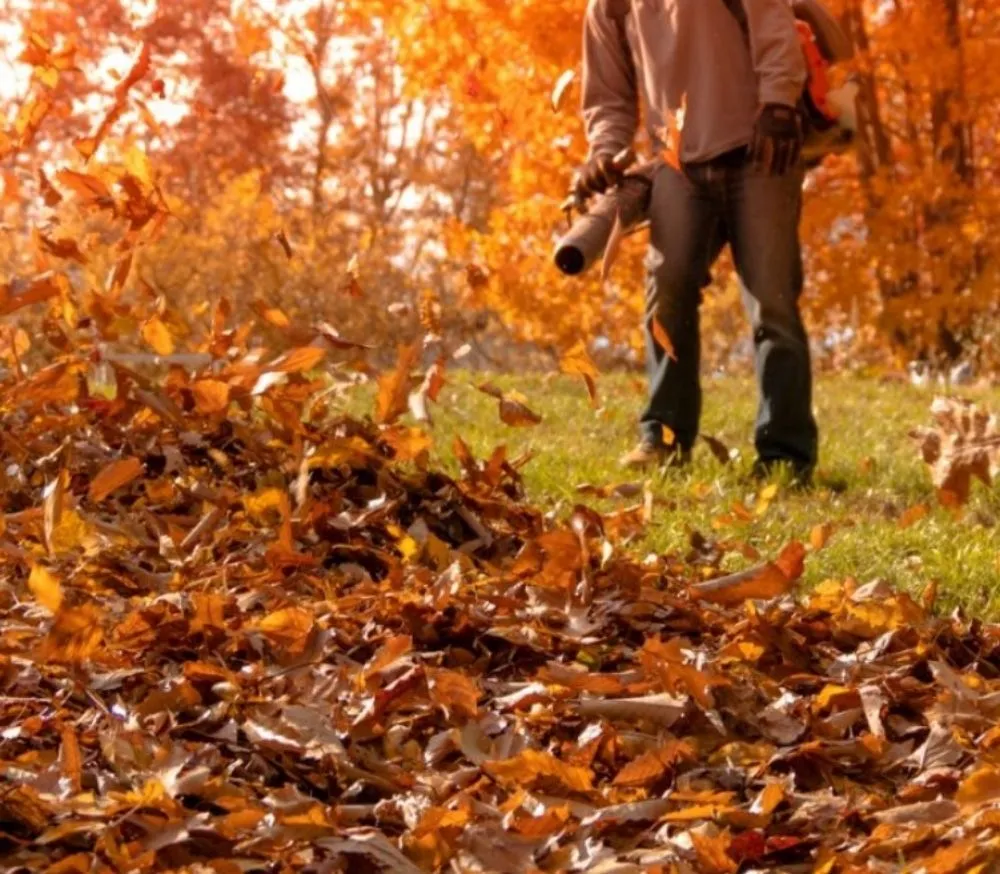 Professional landscaping services in Little Falls, MN by JTC Property Maintenance