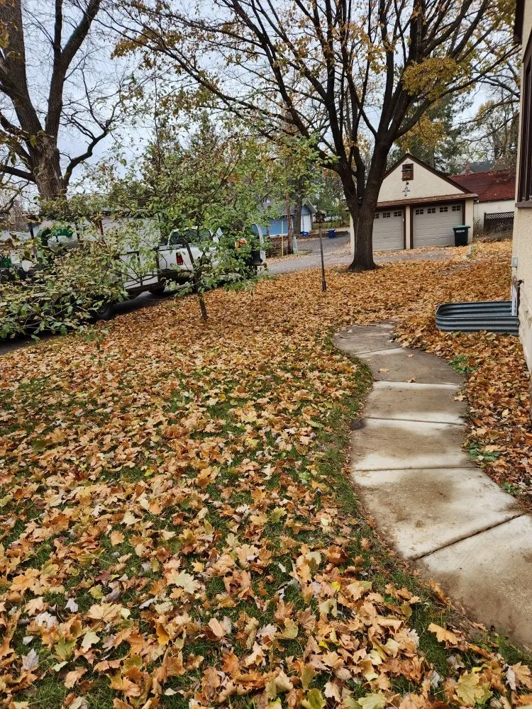 Affordable landscape installation experts serving Little Falls, MN - JTC Property Maintenance