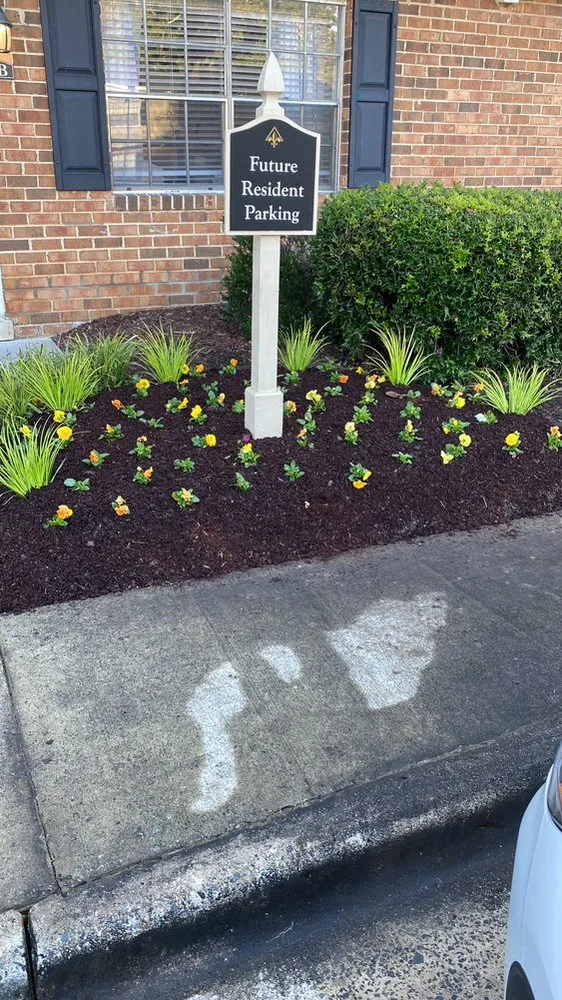 Expert lawn care service for year-round maintenance in Durham, NC by JTD green paradise landscape