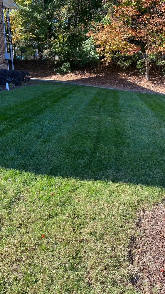 Custom landscaping services in Durham, NC - JTD green paradise landscape