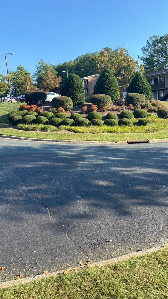 Reliable landscape design in Durham, NC by JTD green paradise landscape