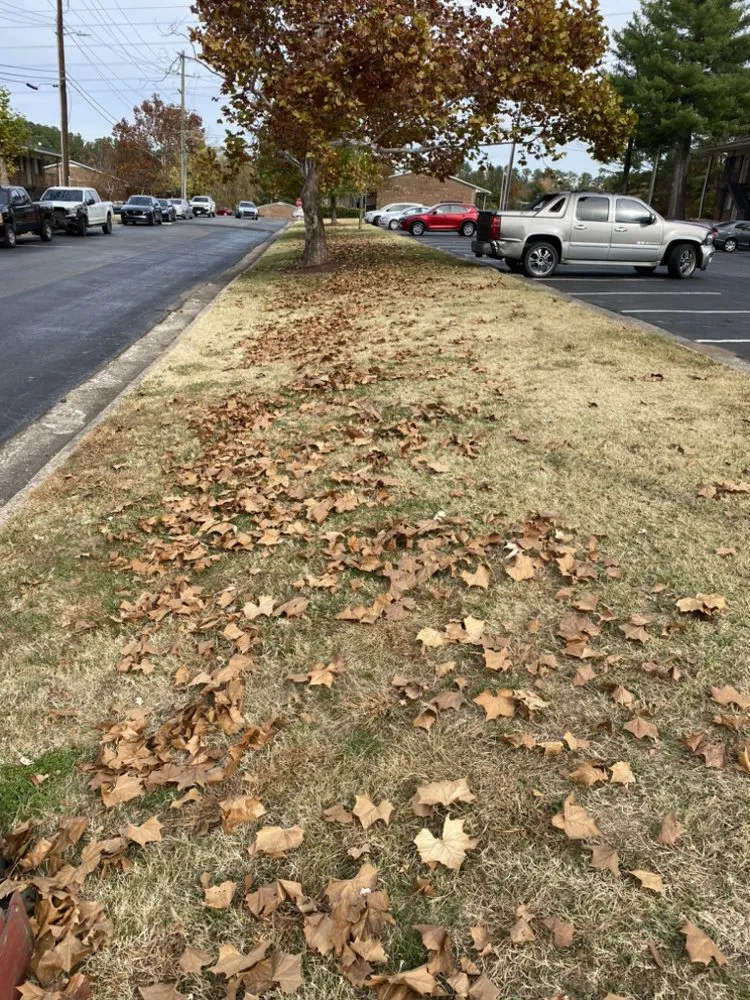 Affordable lawn mowing service experts serving Durham, NC - JTD green paradise landscape