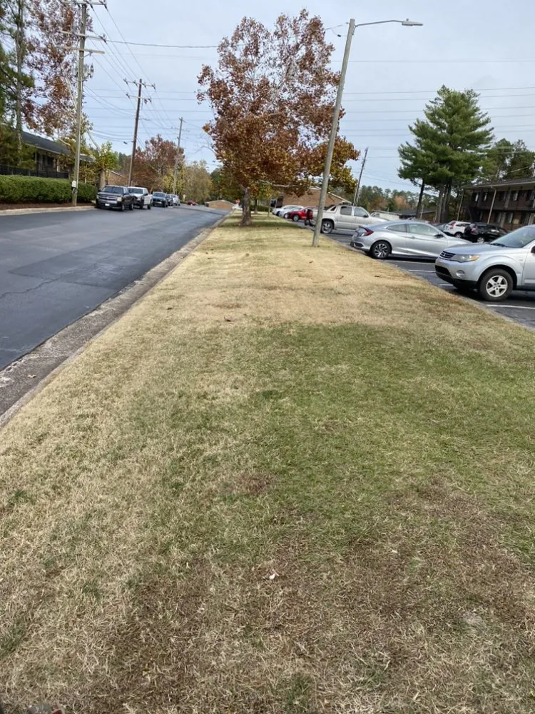 Reliable garden landscaping near you in Durham, NC by JTD green paradise landscape