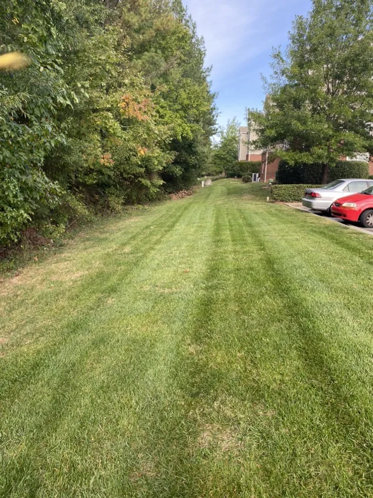 Top-rated garden landscaping for beautiful yards across Durham, NC - JTD green paradise landscape