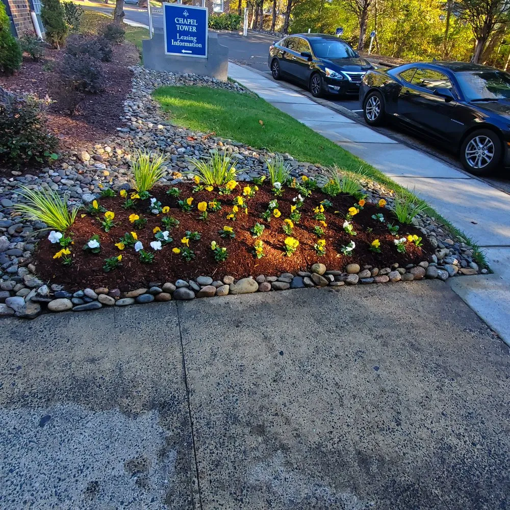 Top-rated yard cleanup service with custom design across Durham, NC - JTD green paradise landscape