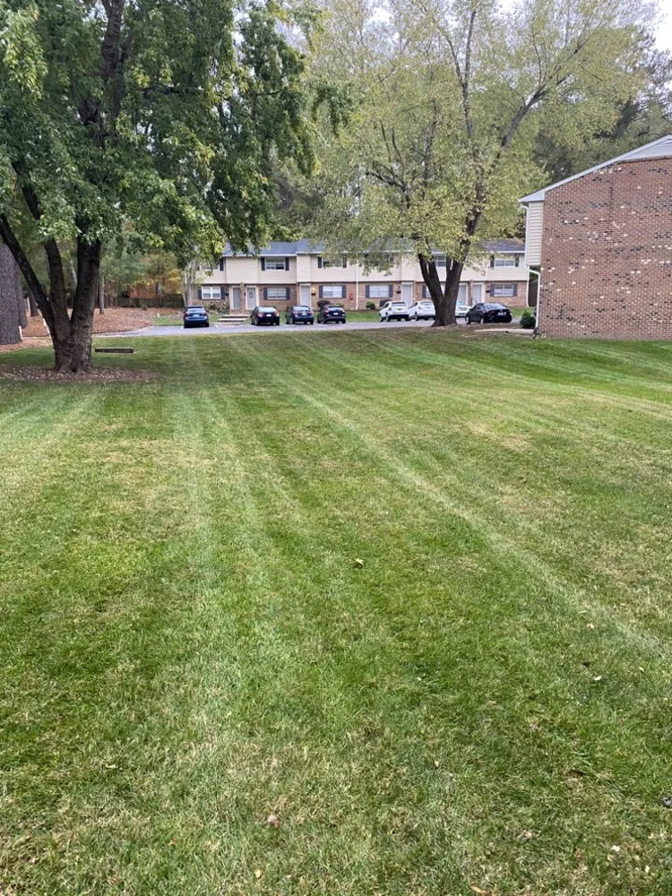 Expert yard cleanup service in Durham, NC - JTD green paradise landscape