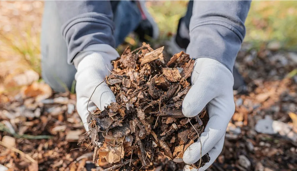 Custom garden landscaping near you in Durham, NC by JTD green paradise landscape